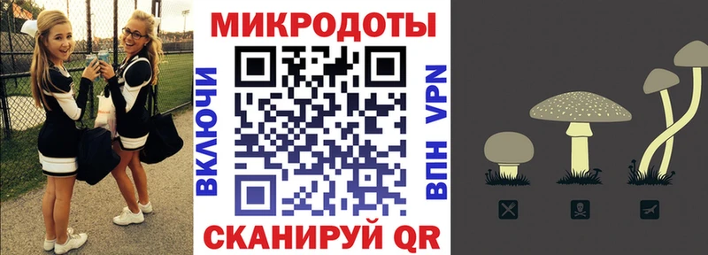 закладка  Бологое  Галлюциногенные грибы мухоморы 