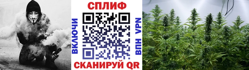 Бошки марихуана SATIVA & INDICA  mega зеркало  даркнет какой сайт  наркошоп  Бологое 